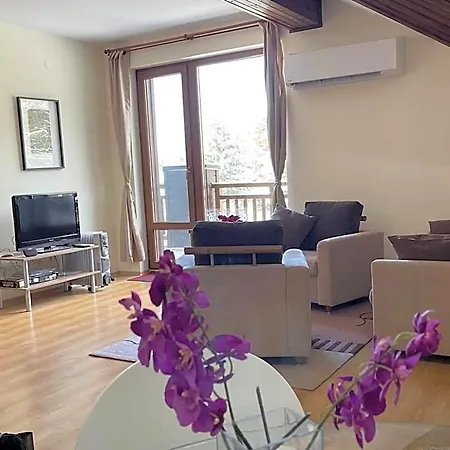 Cozy Mountain Hotel Belchin
