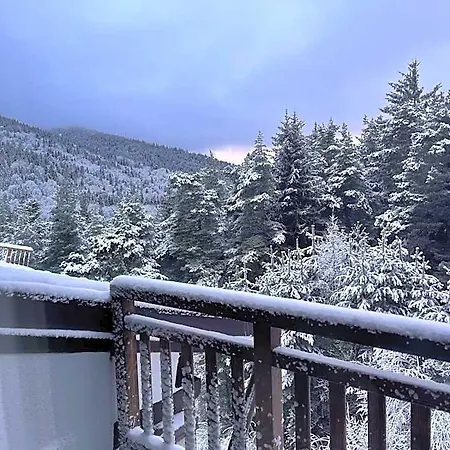 Cozy Mountain Hotel