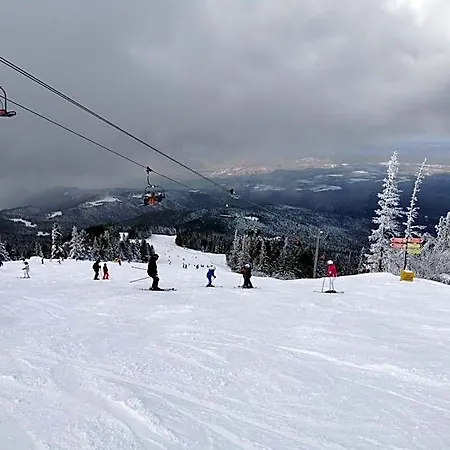Cozy Mountain Ξενοδοχείο 4*