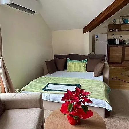 Hotel Cozy Mountain 4*